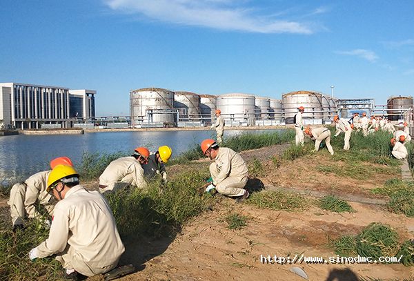 集团机关党支部与公司团委联合开展志愿服务活动